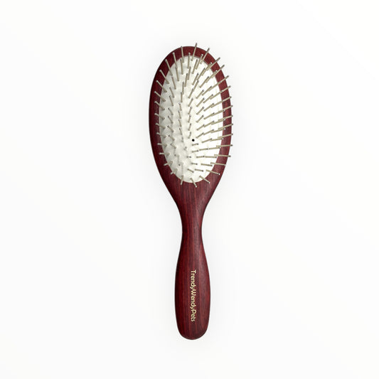Large Oval Brush with Thick Pins